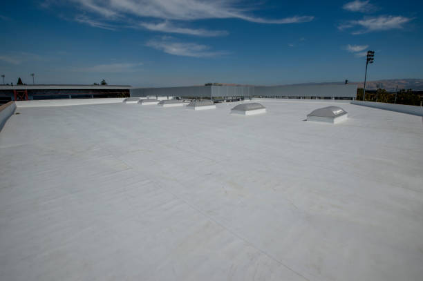 Best Roof Leak Repair  in Buna, TX