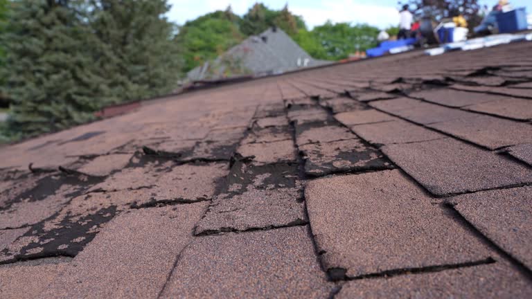Best Roof Coating Services  in Buna, TX