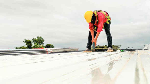 Best Asphalt Shingle Roofing  in Buna, TX